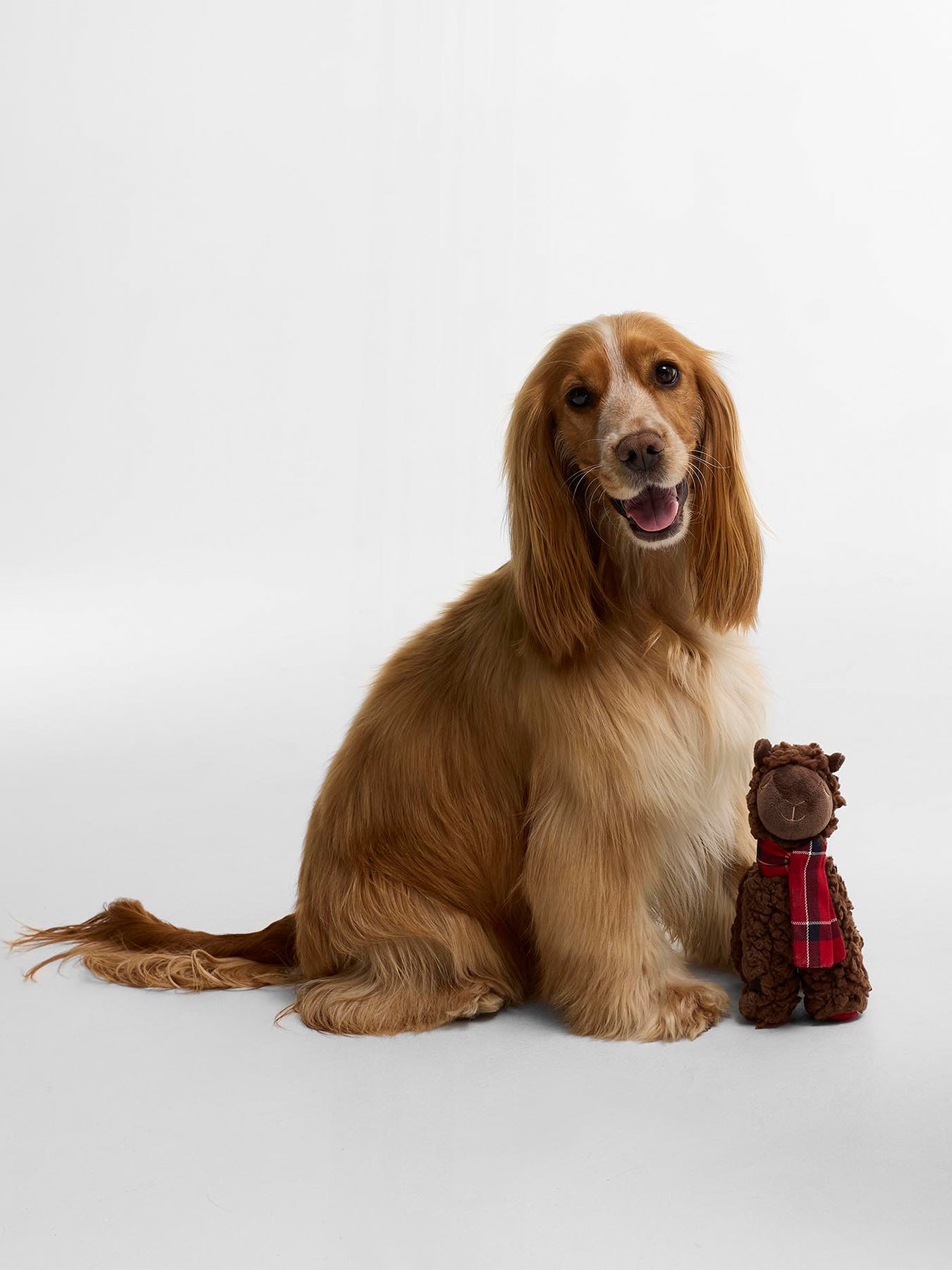 Llama Dog Toy