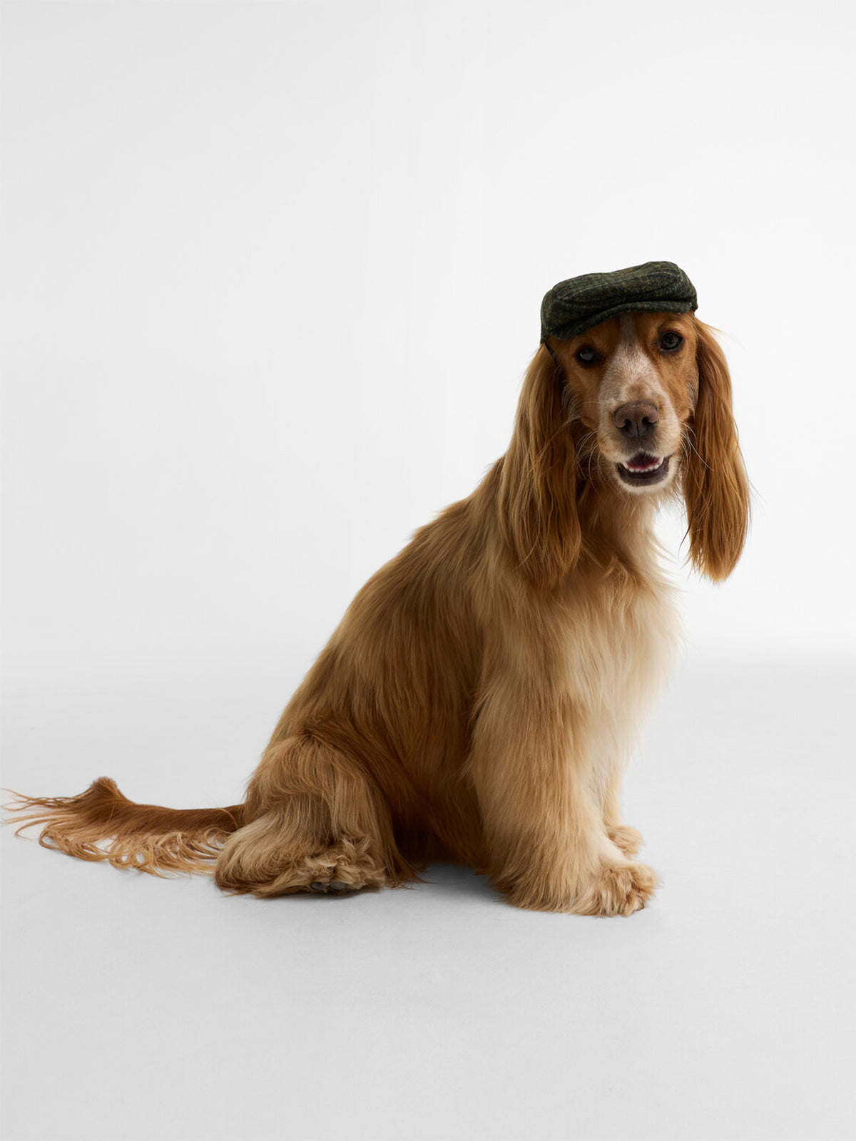 Wilkin Dog Wax Flat Cap Olive Check