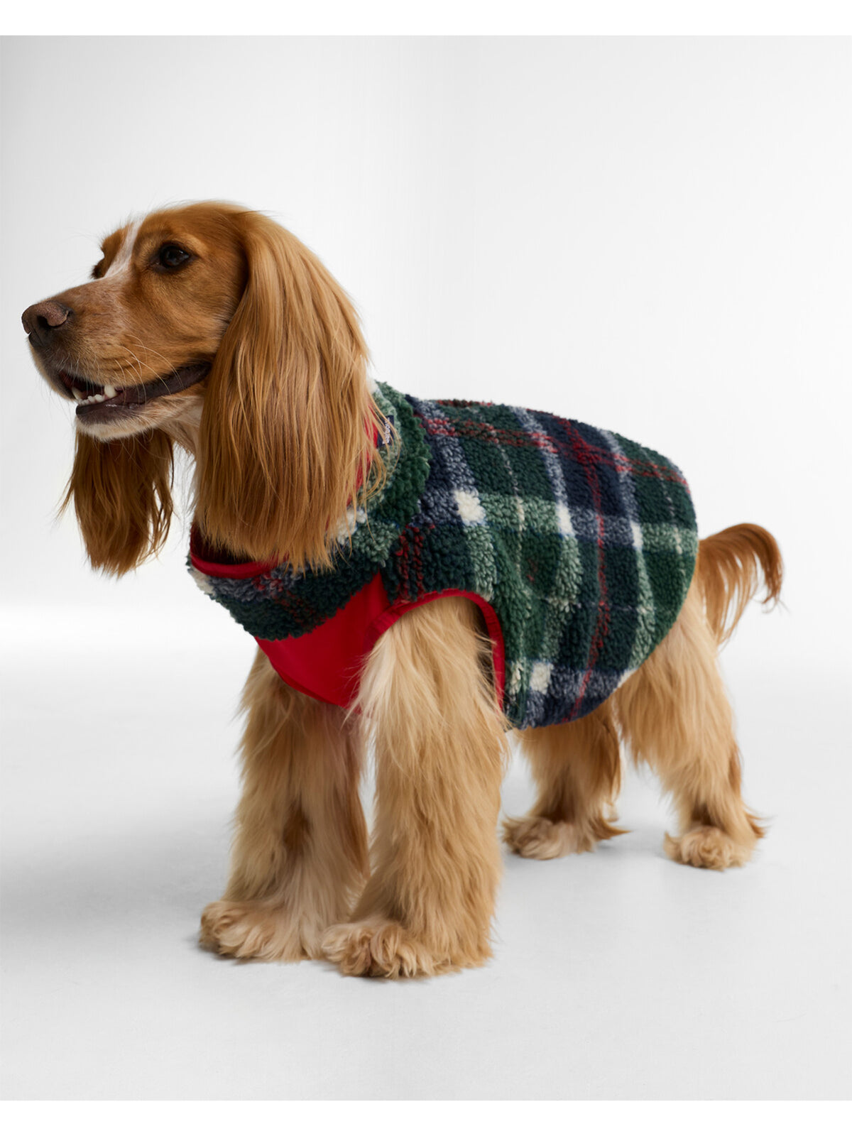 Field Reversible Dog Coat