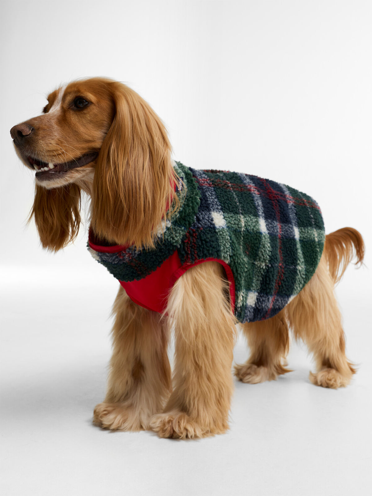Field Reversible Dog Coat