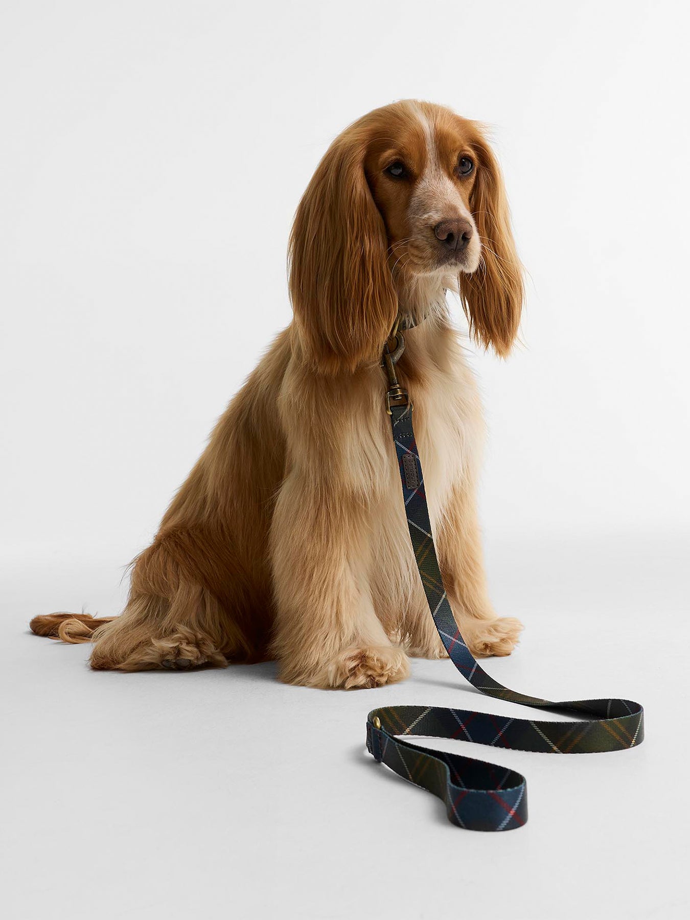 Classic Tartan Printed Dog Lead
