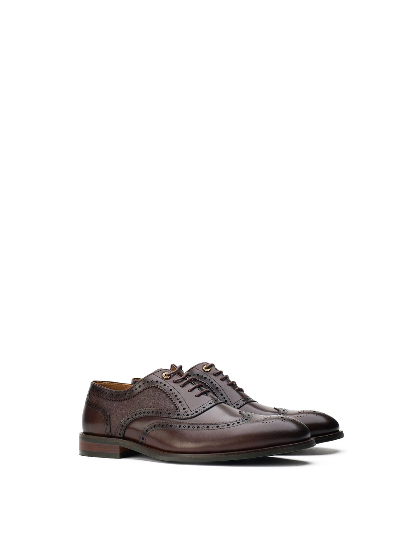 Diplodocus Brogue Leather Shoes Brown