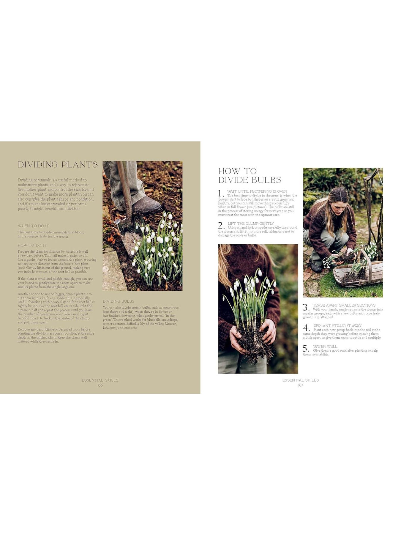 How Does Your Garden Grow? Book