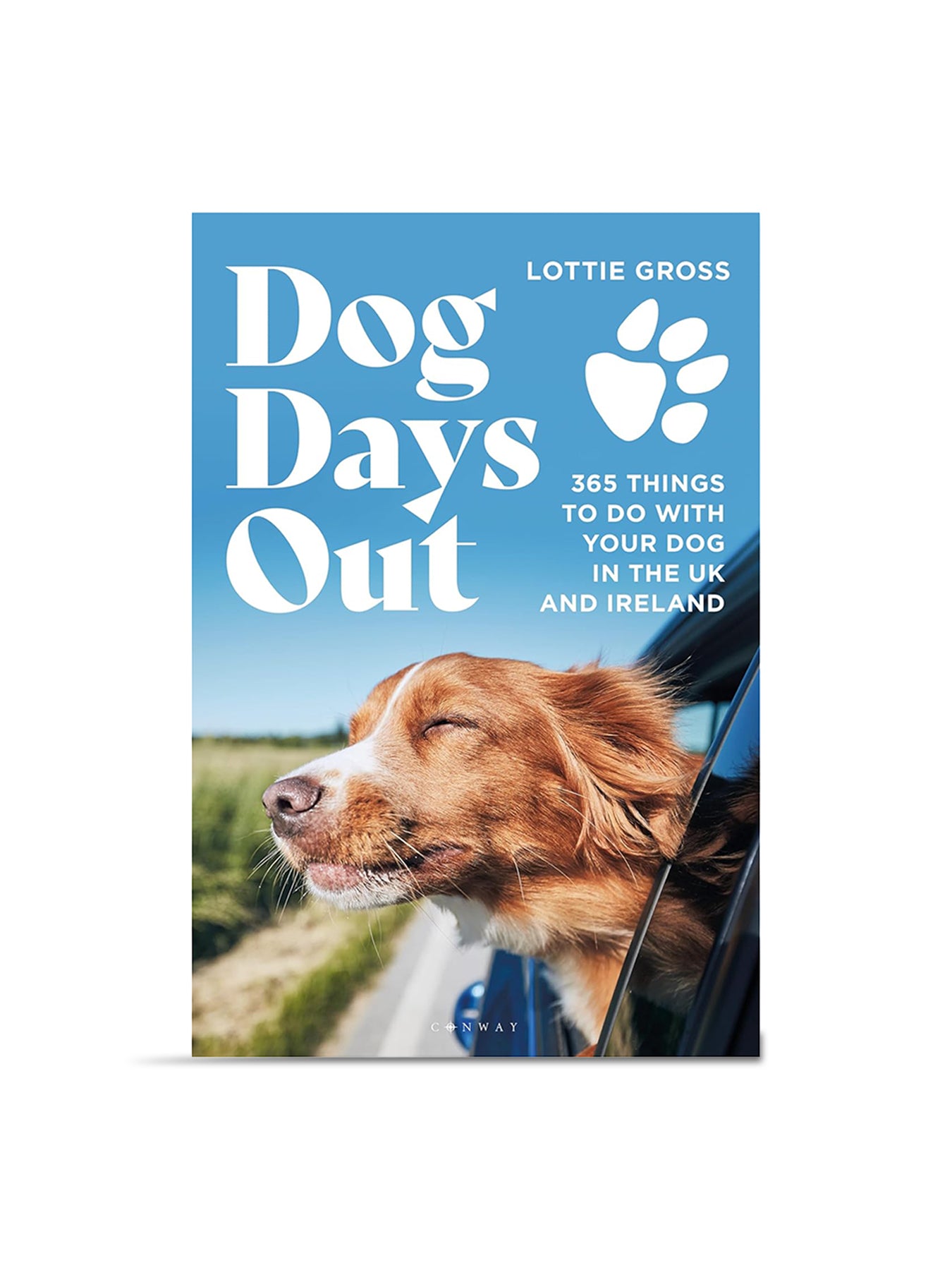 Dog Days Out Book