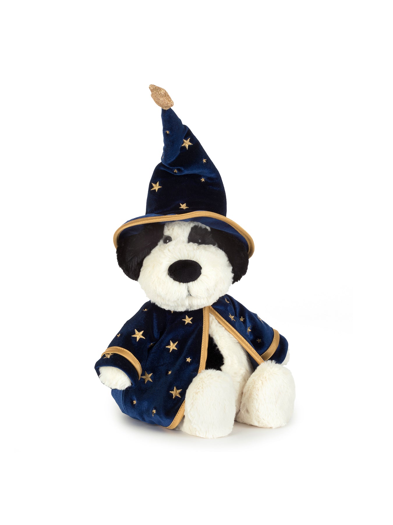 Rufferty Puppy Wizard Outfit