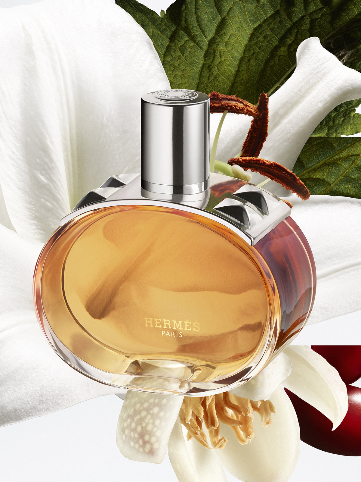 Barénia Pleine Fleur Eau De Parfum 60ml