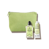 L'Occitane Summer Verbena Free Gift