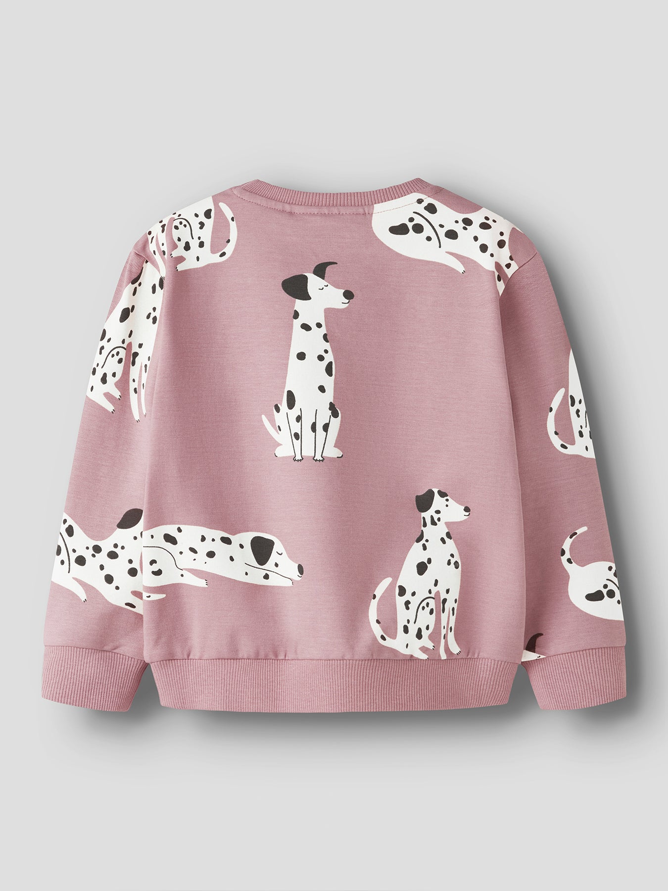 Organic Cotton Sweatshirt