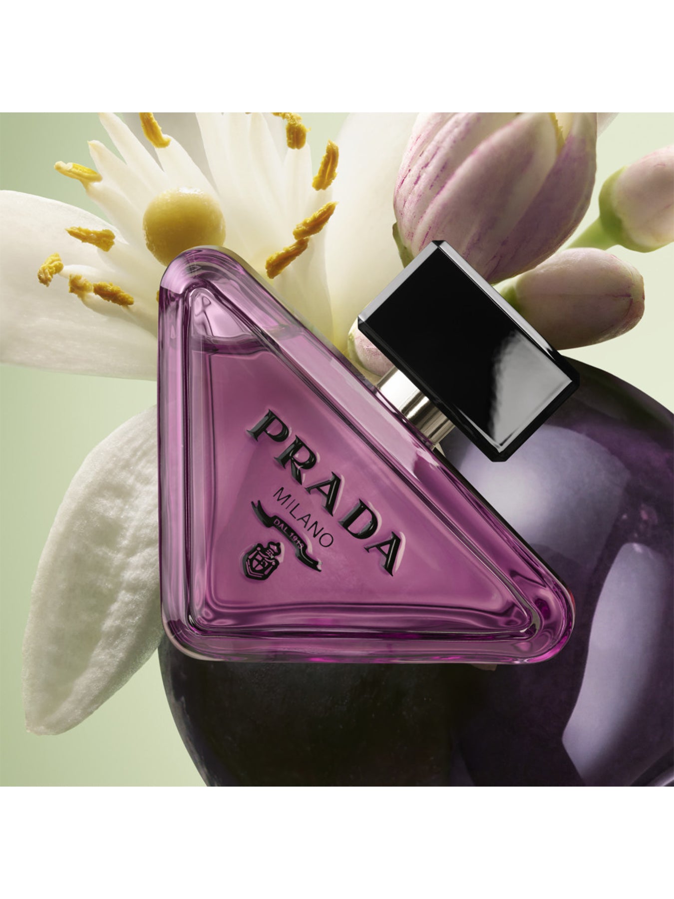 Paradoxe Sweet Chemistry Eau de Parfum Refill 100ml
