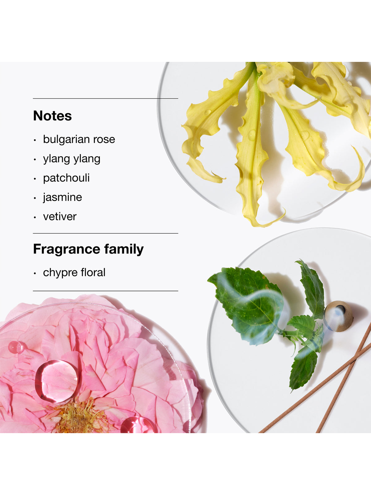 Aromatics Elixir Fragrance & Body Duo Gift Set
