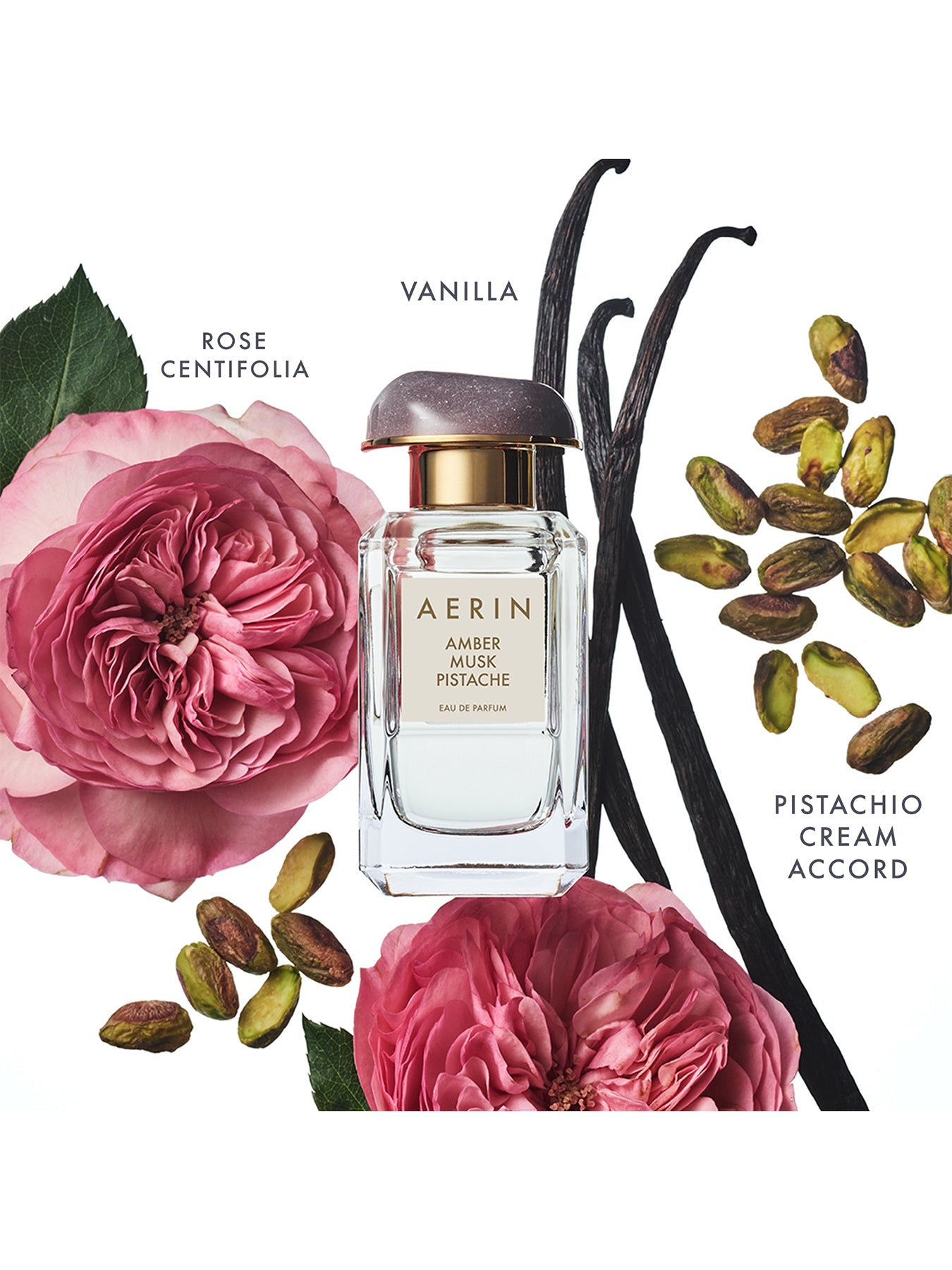 Amber Musk Pistache Eau de Parfum 50ml