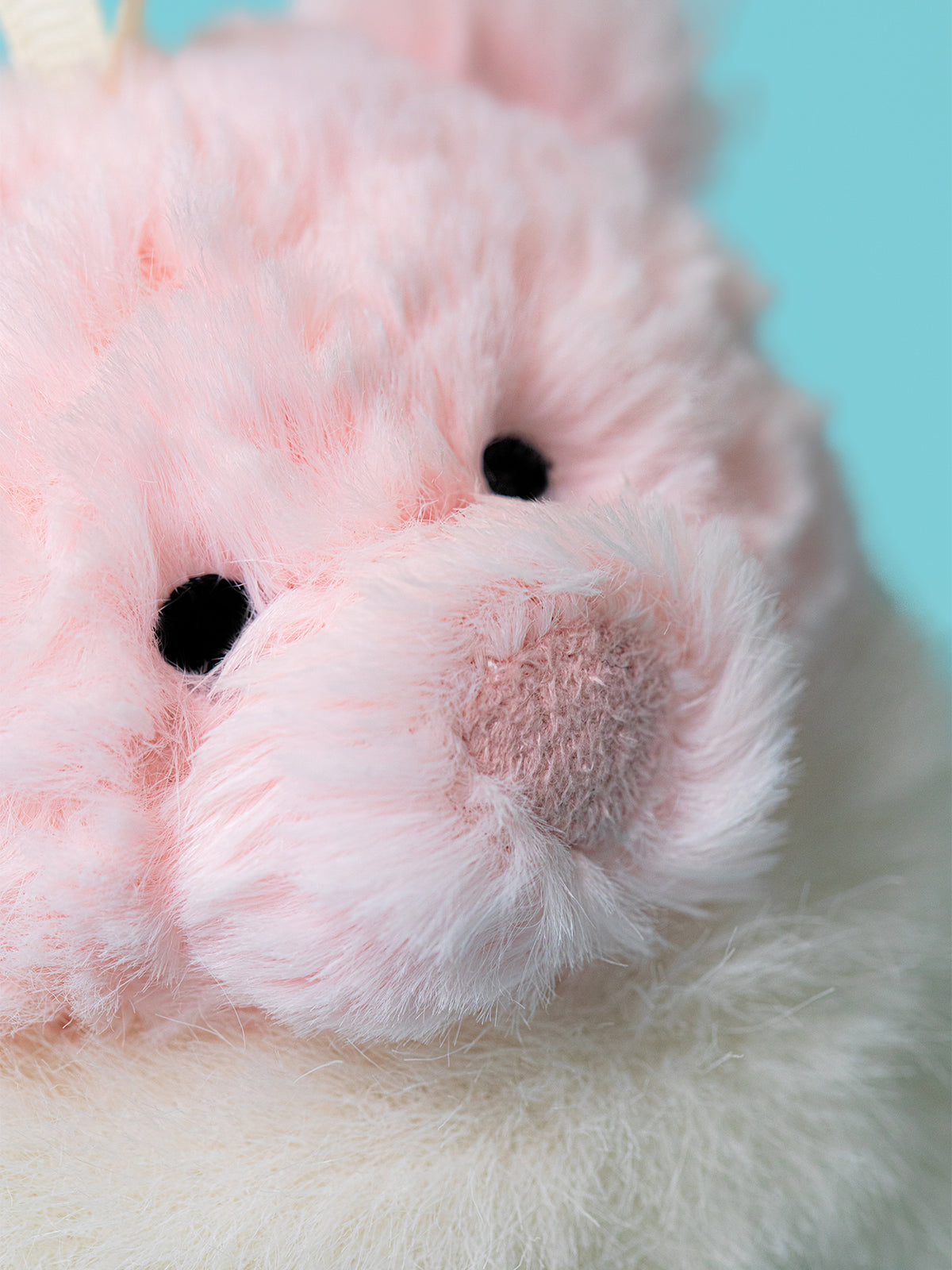 Leola Bear Winter Warmer Decoration