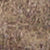 Print Beige
