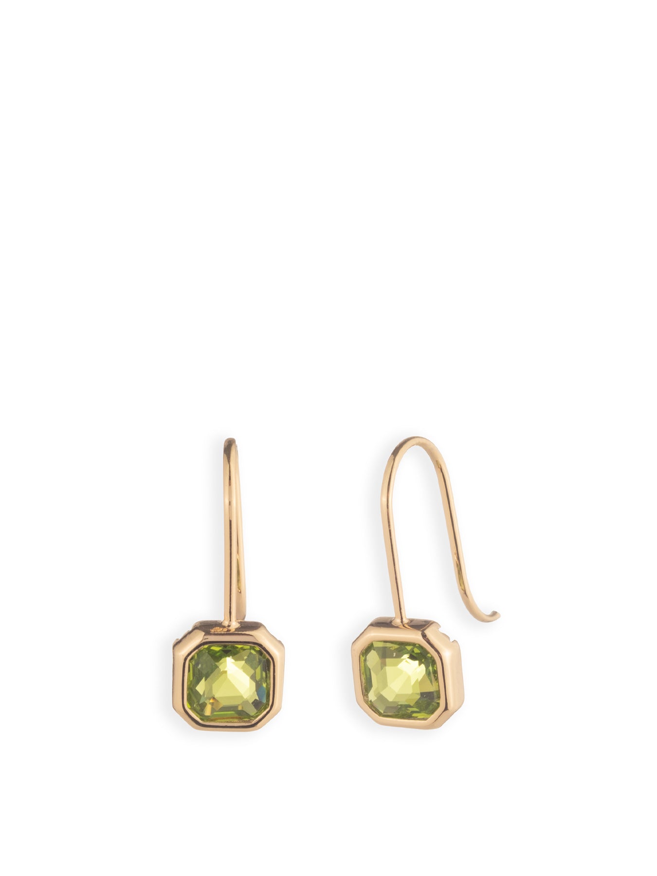 Stone Drop Hoop Earrings