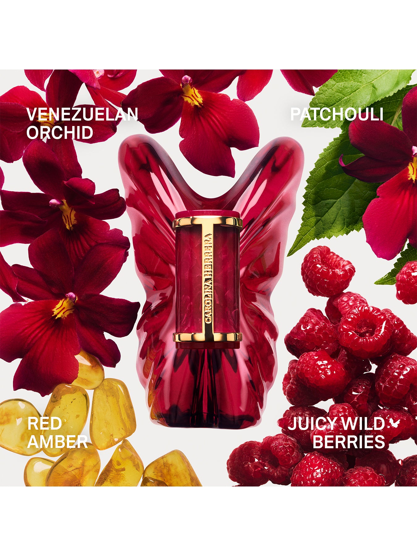 La Bomba Intensa Eau De Parfum Intensa 80ml