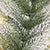 Green Frosted