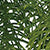 Green/Warm White