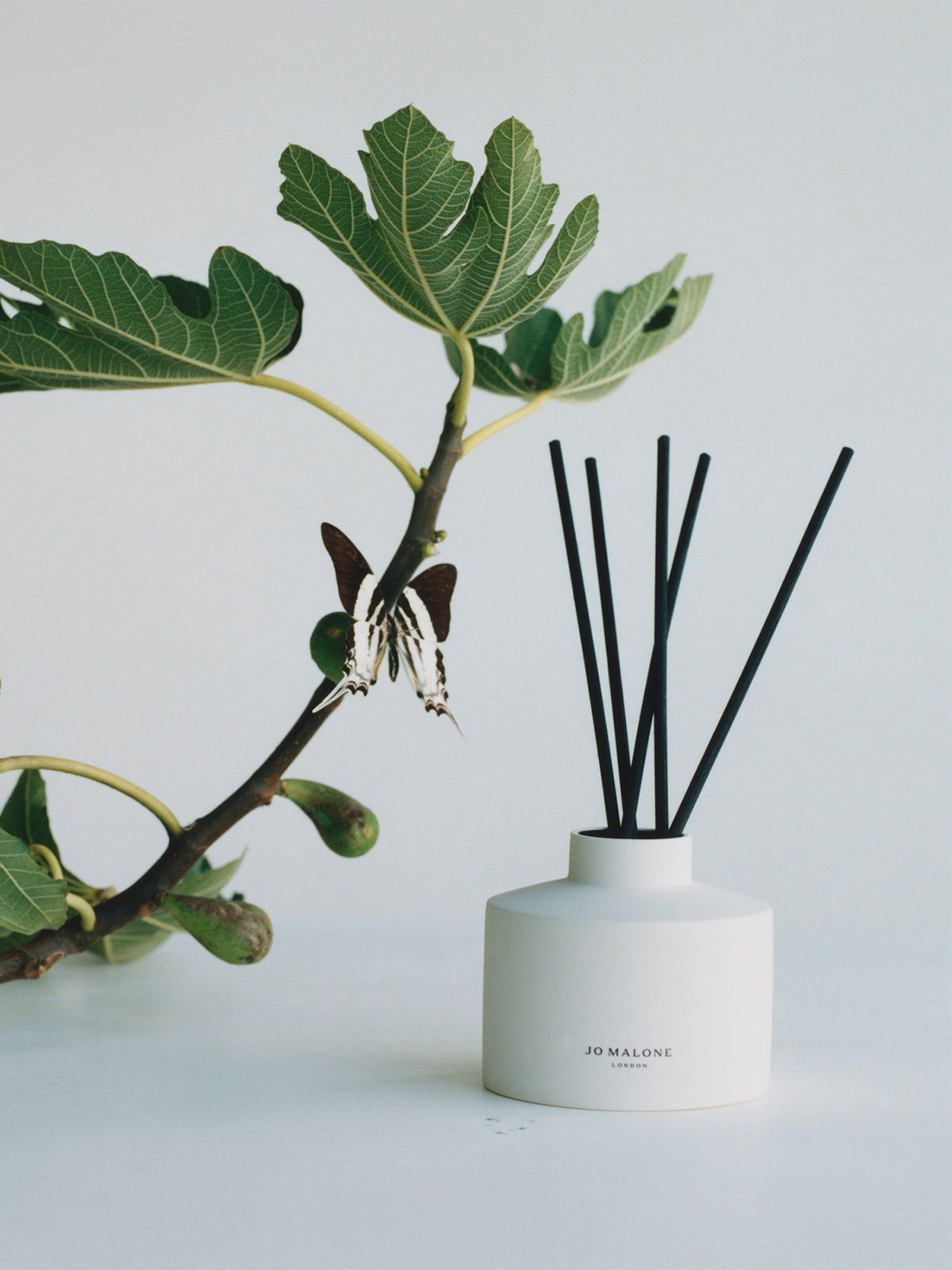 Fresh Fig & Cassis Diffuser Oil 350ml