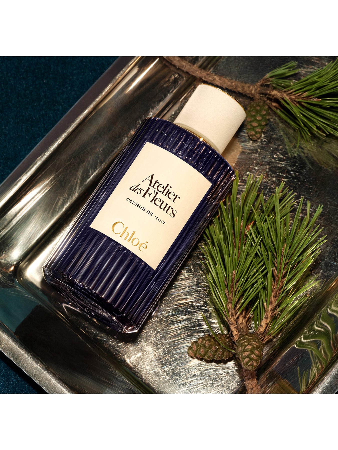 Atelier Des Fleurs Cedrus De Nuit Eau de Parfum