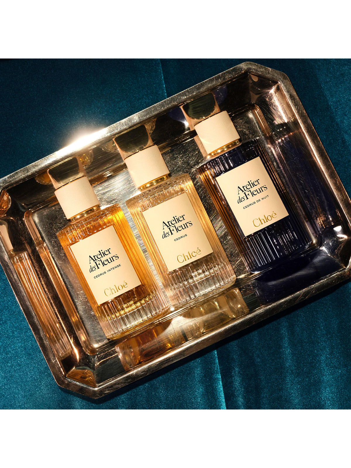 Atelier Des Fleurs Cedrus De Nuit Eau de Parfum