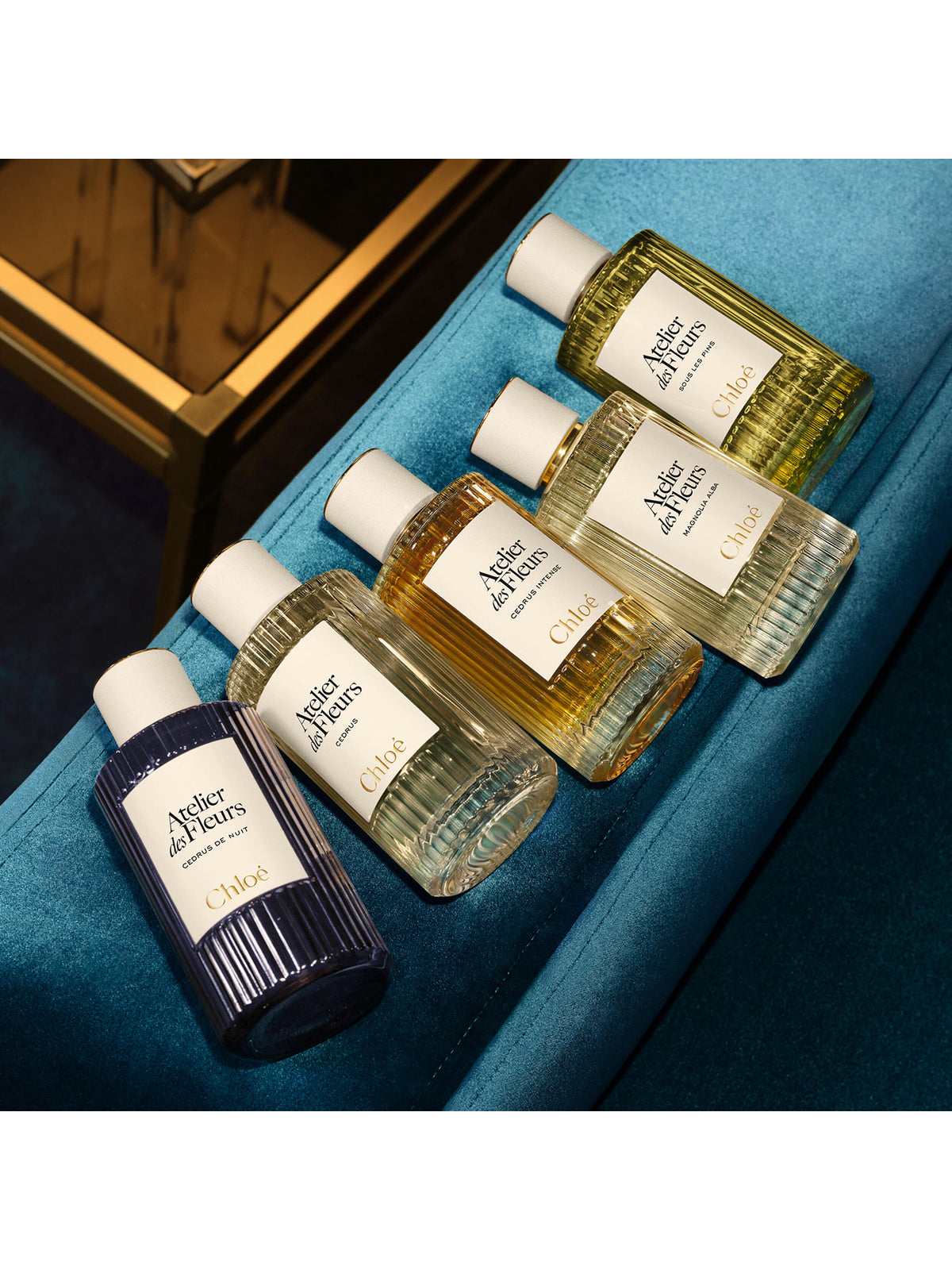 Atelier Des Fleurs Cedrus De Nuit Eau de Parfum