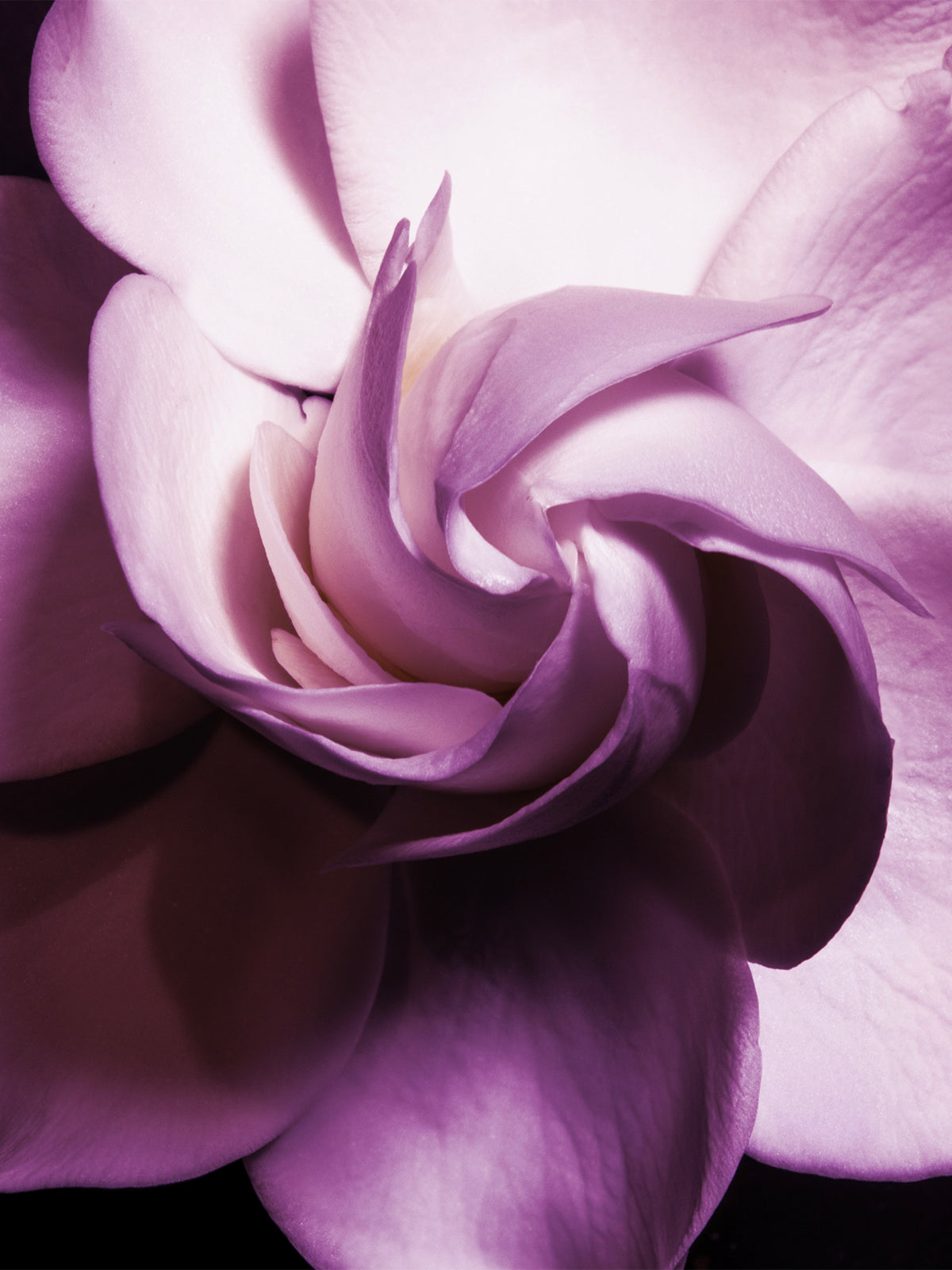 Patchouli Magnetik Extrait De Parfum