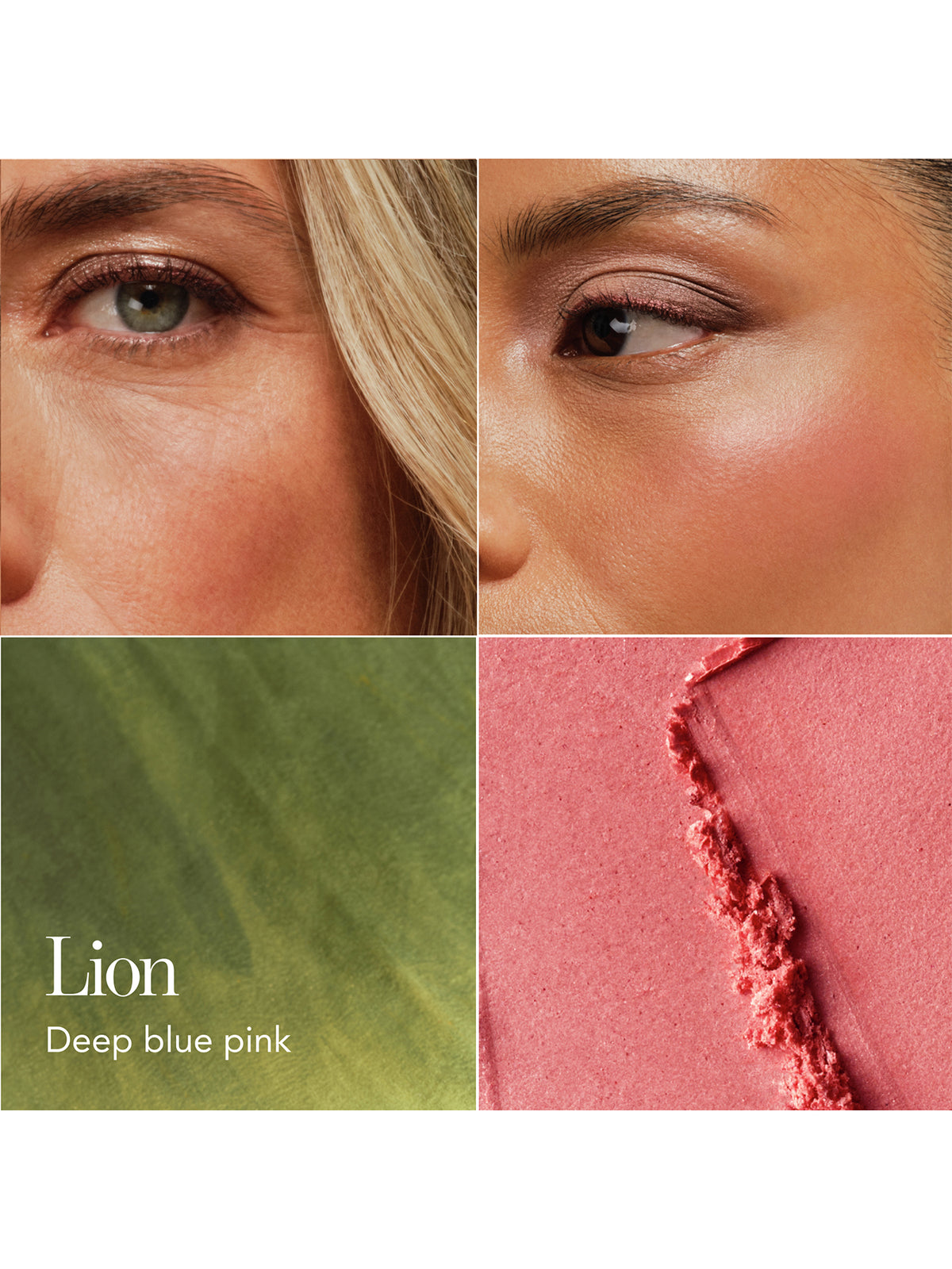 Cheek Shade - Lion