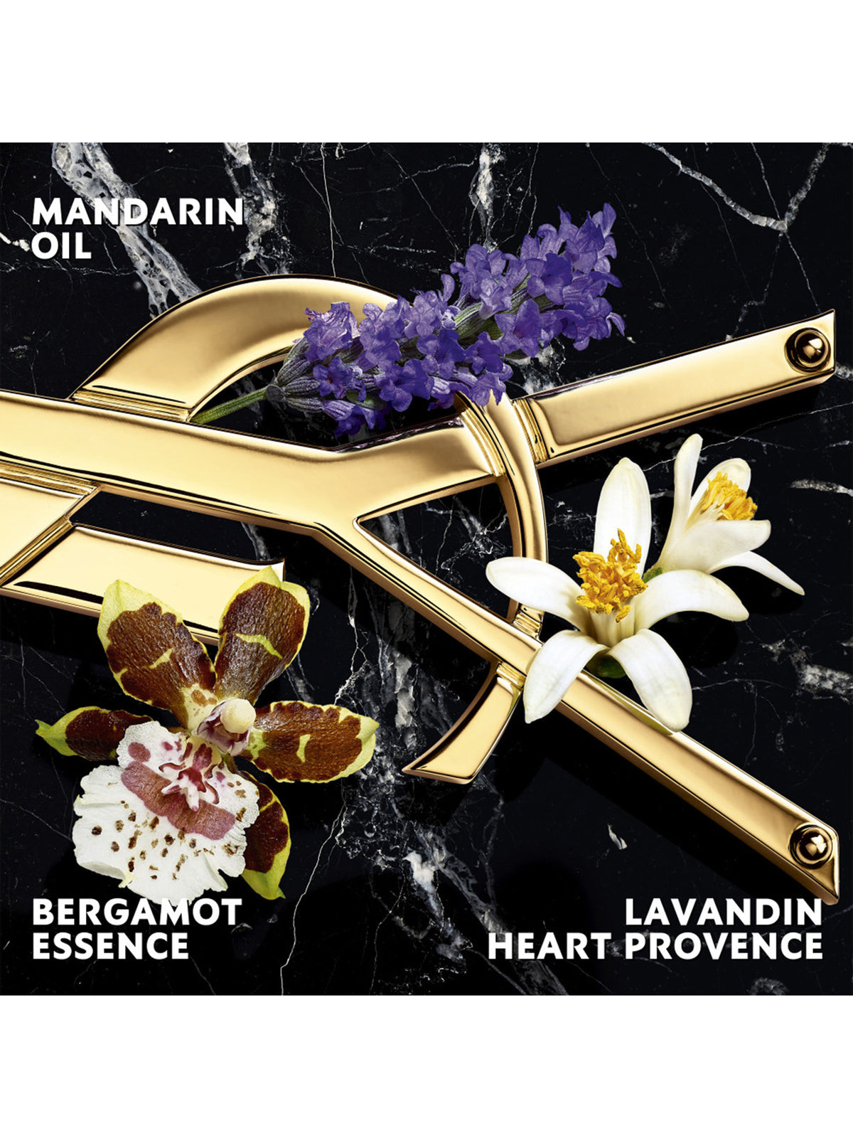 Libre Intense Eau de Parfum 90ml Gift Set (Worth £185)