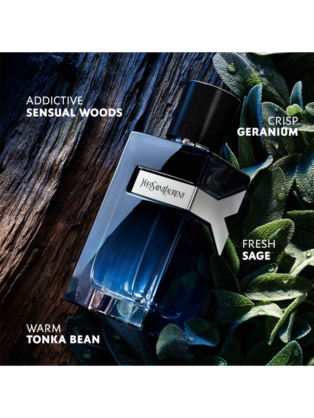 Y Eau De Parfum 100ml Gift Set