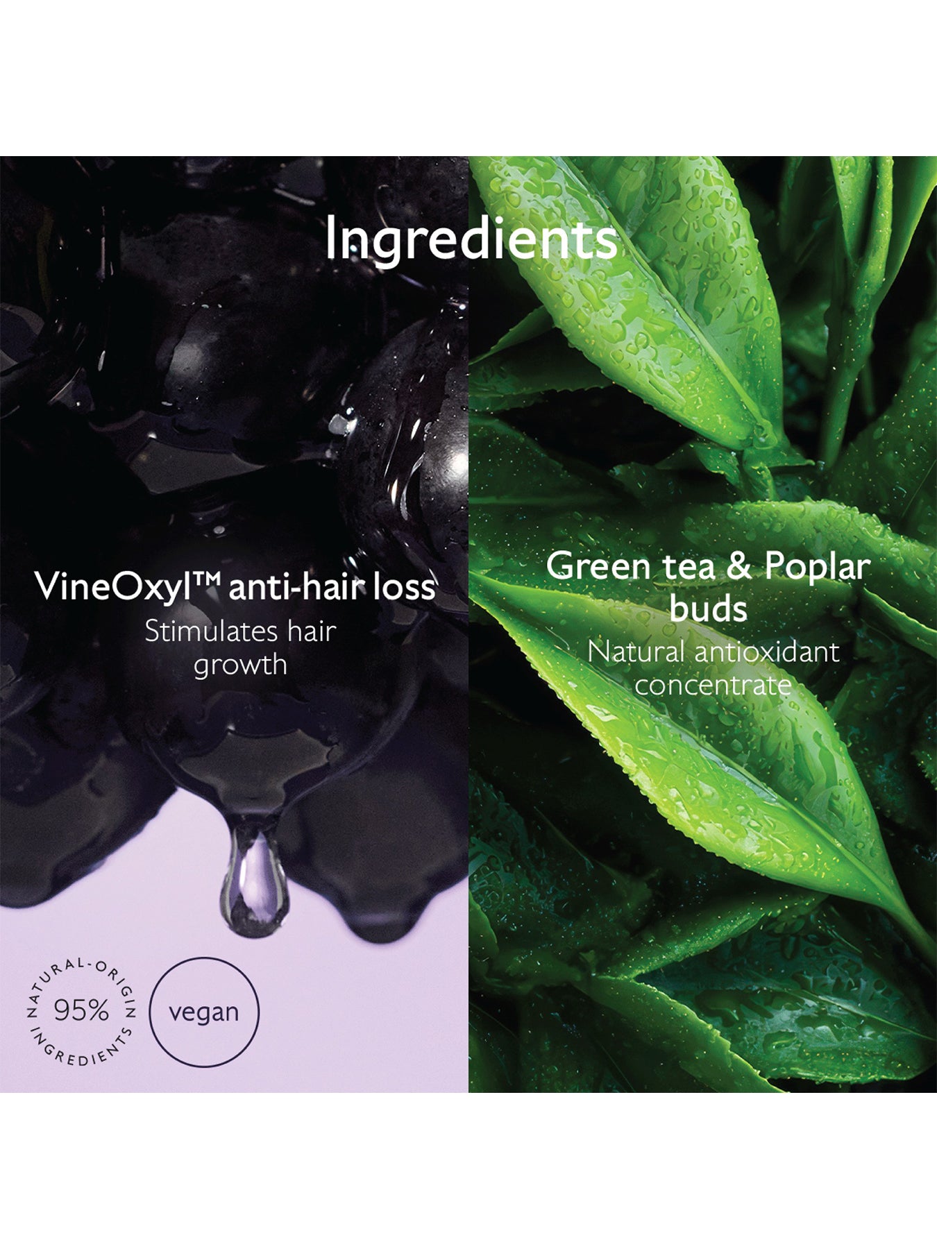 Density & Volume Shampoo