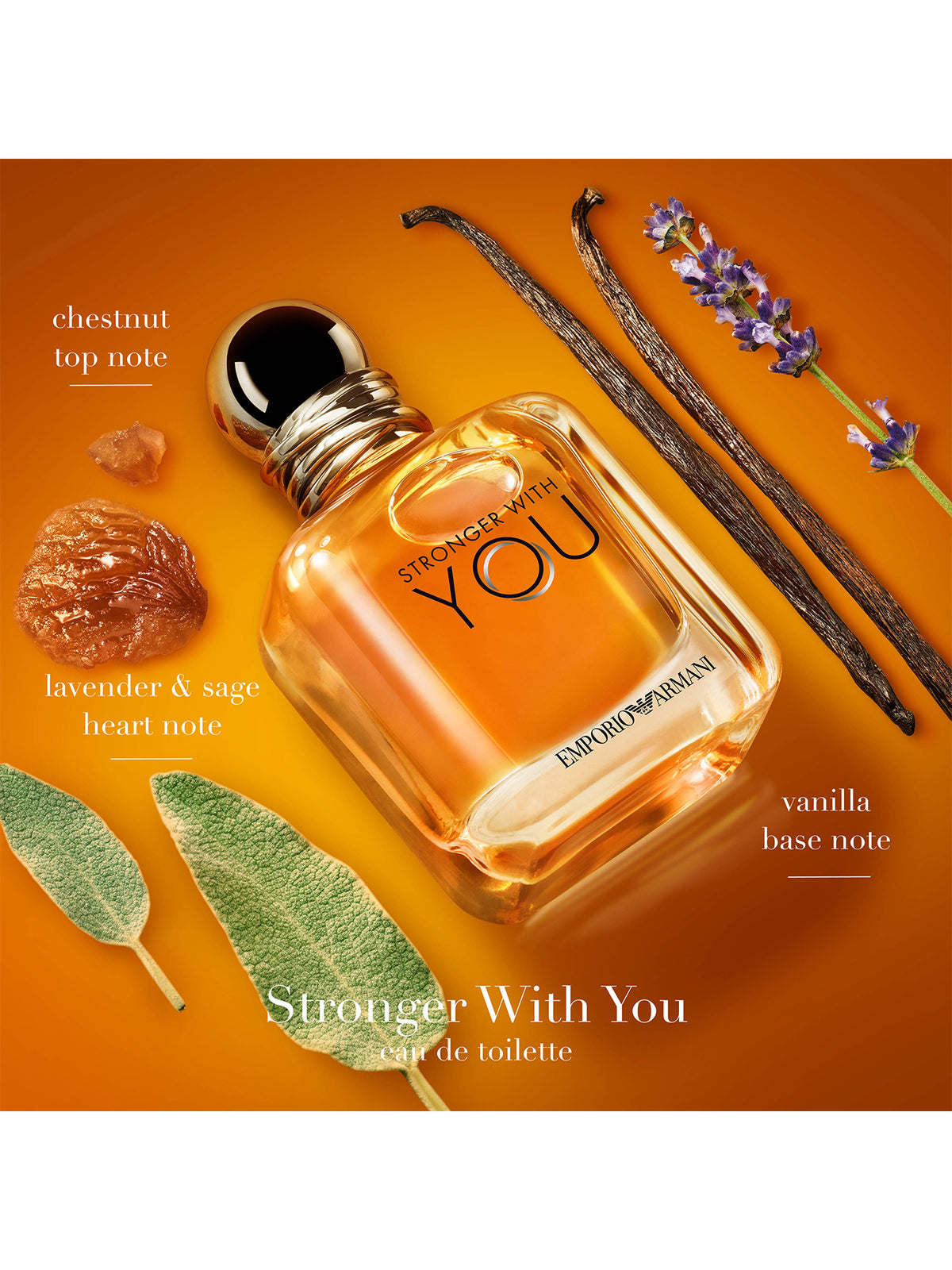 Stronger With You Eau De Toilette 100ml Gift Set