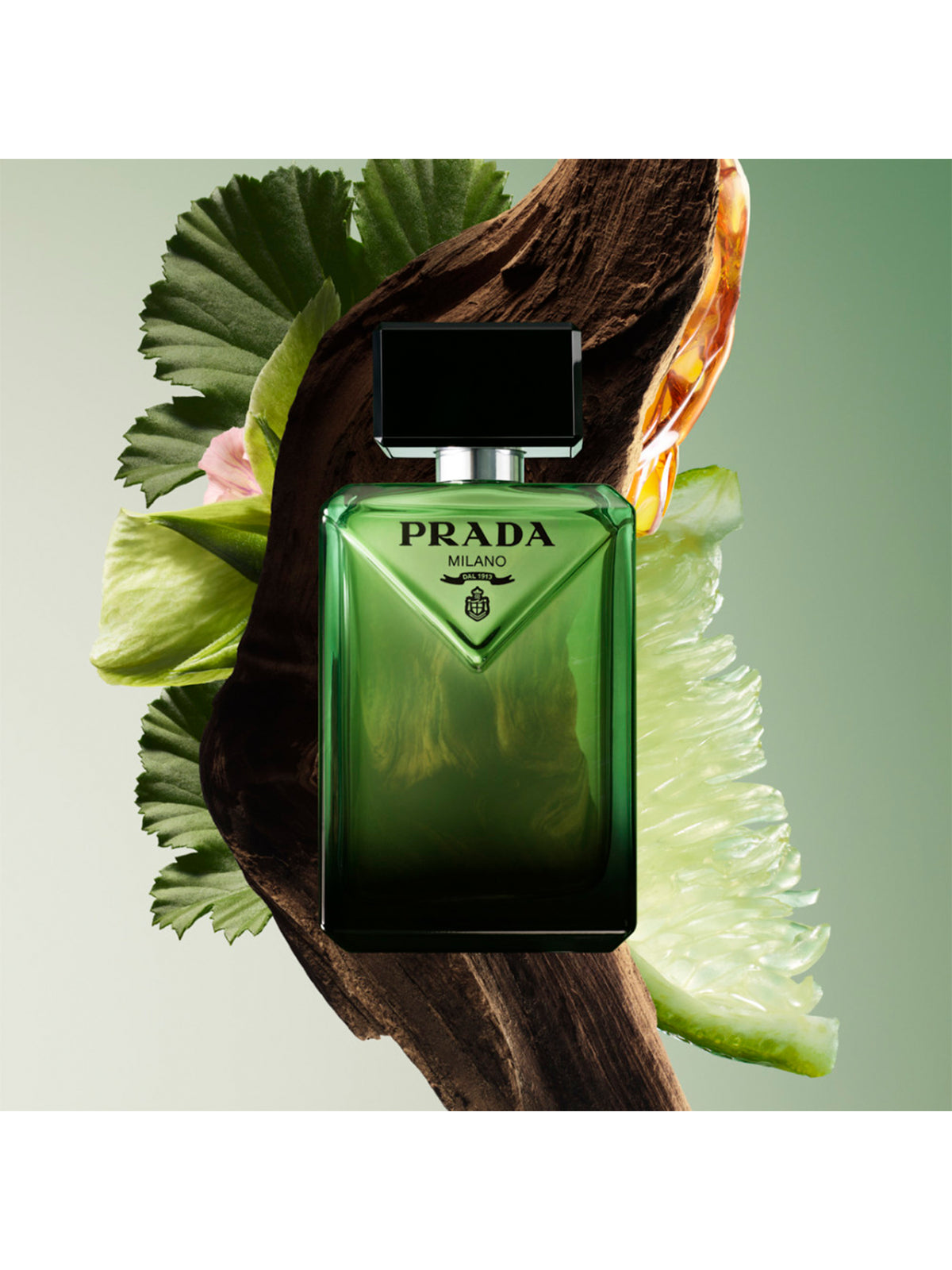 Paradigme Eau De Parfum 50ml Gift Set