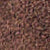 Cioccolato