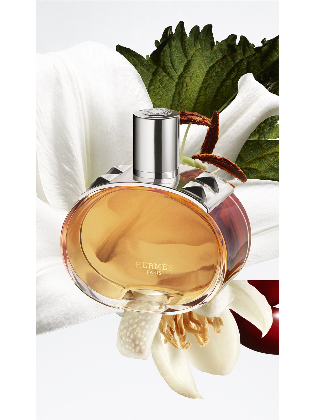 Barénia Pleine Fleur Eau De Parfum 100ml Gift Set