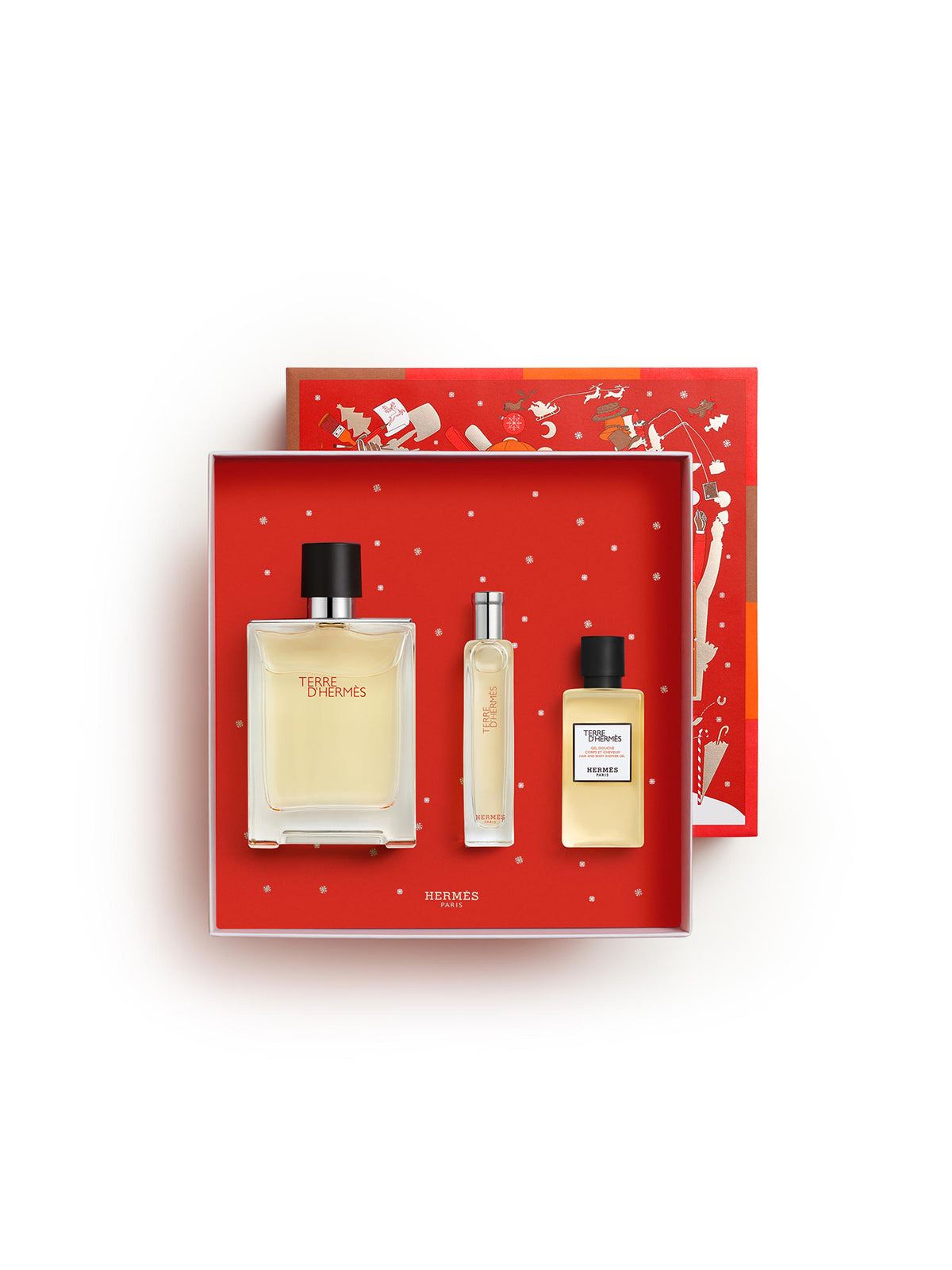 Terre D'Hermès Eau De Toilette 100ml Gift Set