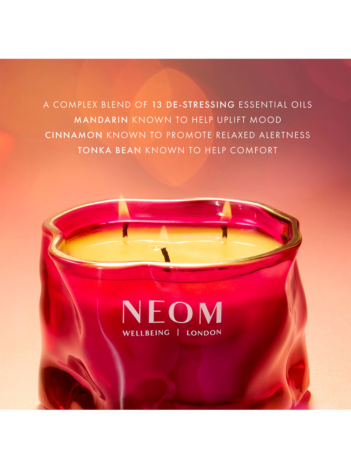 Christmas Wish 3 Wick Candle 420g