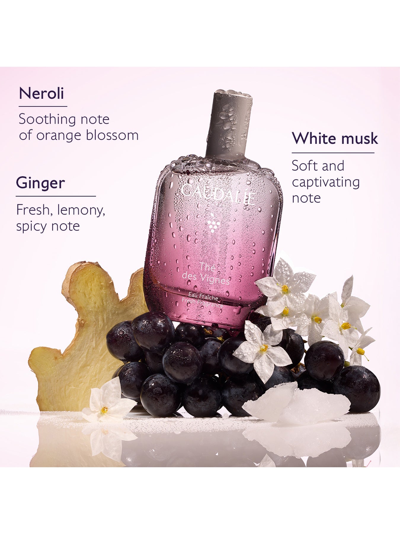 Thé Des Vignes Fragrance & Body Care Gift Set