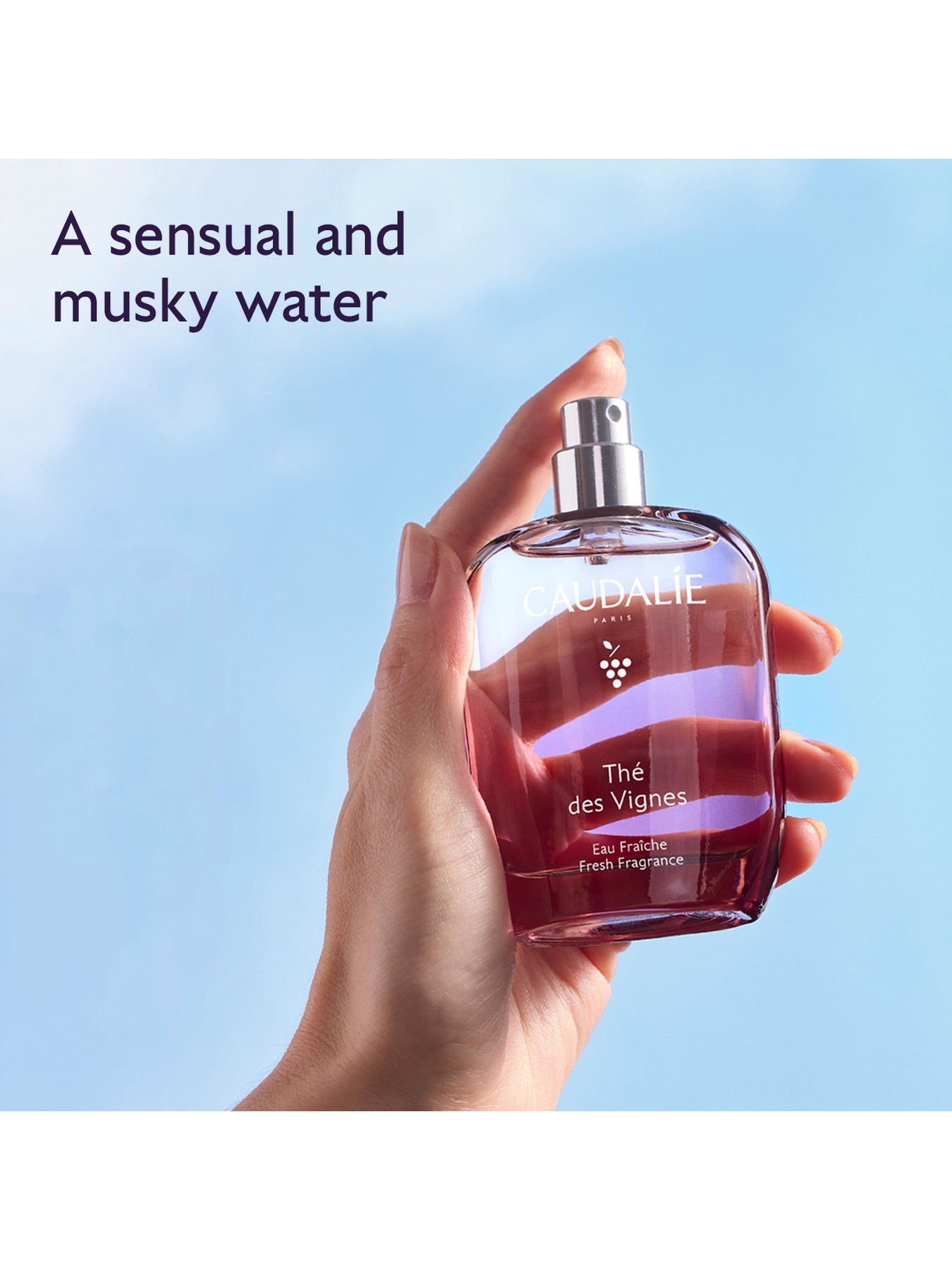 Thé Des Vignes Fragrance & Body Care Gift Set