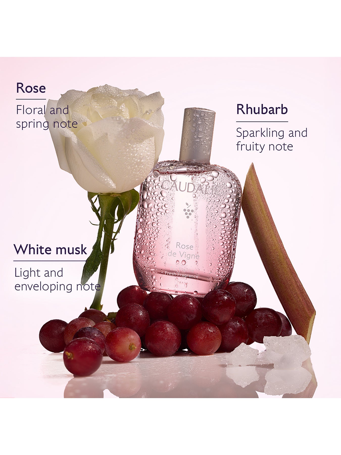 Rose De Vigne Fragrance & Body Care Gift Set