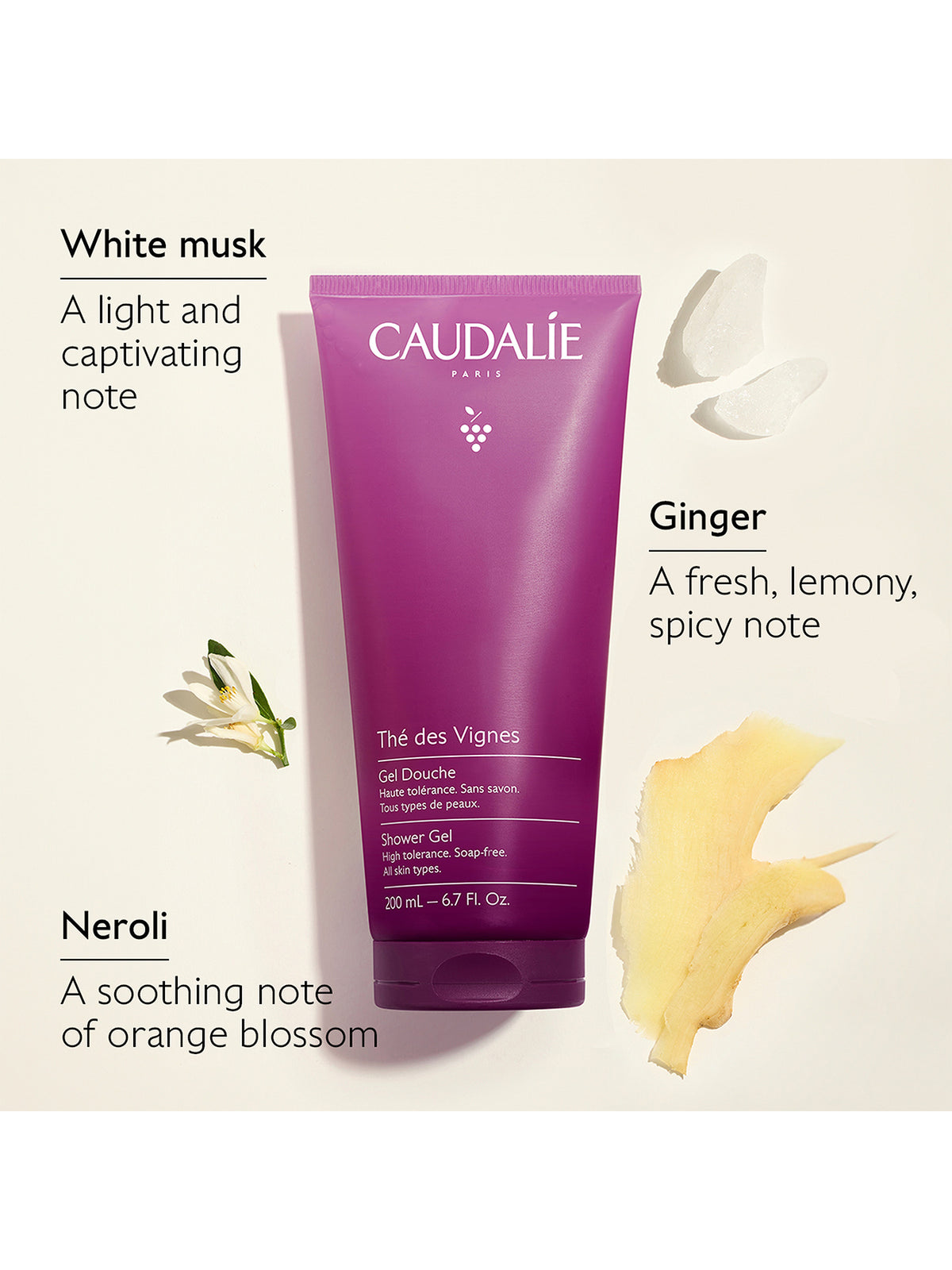 Thé Des Vignes Body Care Duo