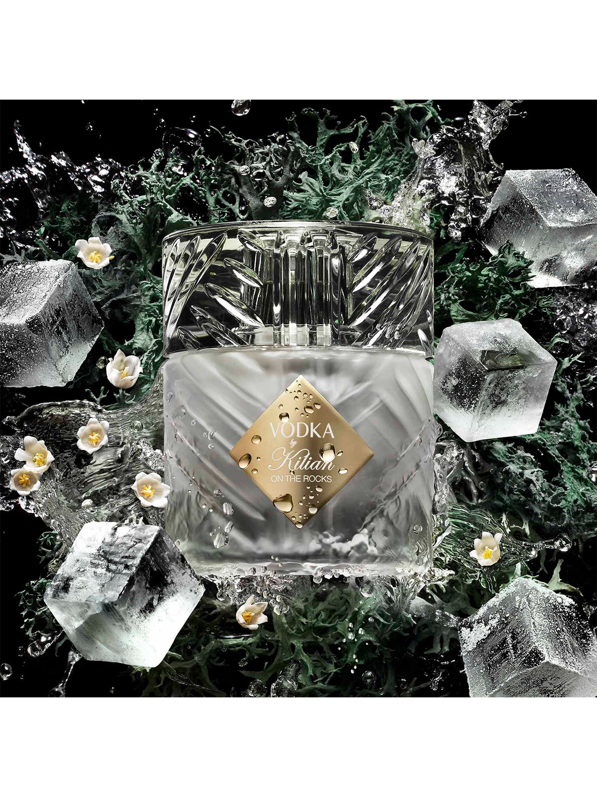 Vodka on the Rocks Eau de Parfum
