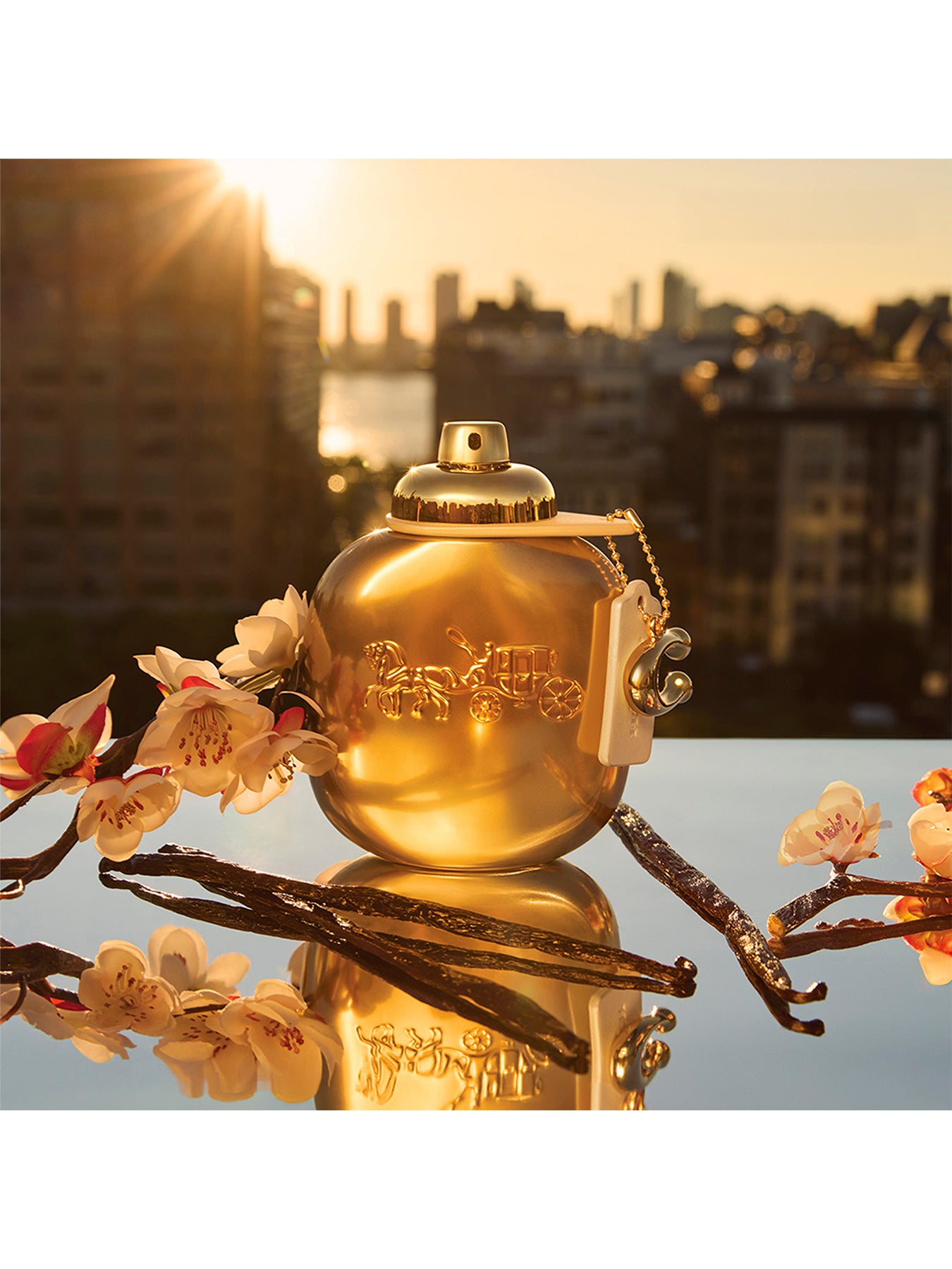 Gold Eau De Parfum 50ml Gift Set