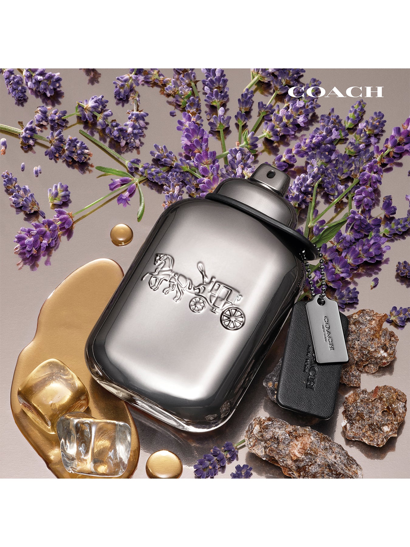 Men Pure Platinum Parfum 100ml Gift Set