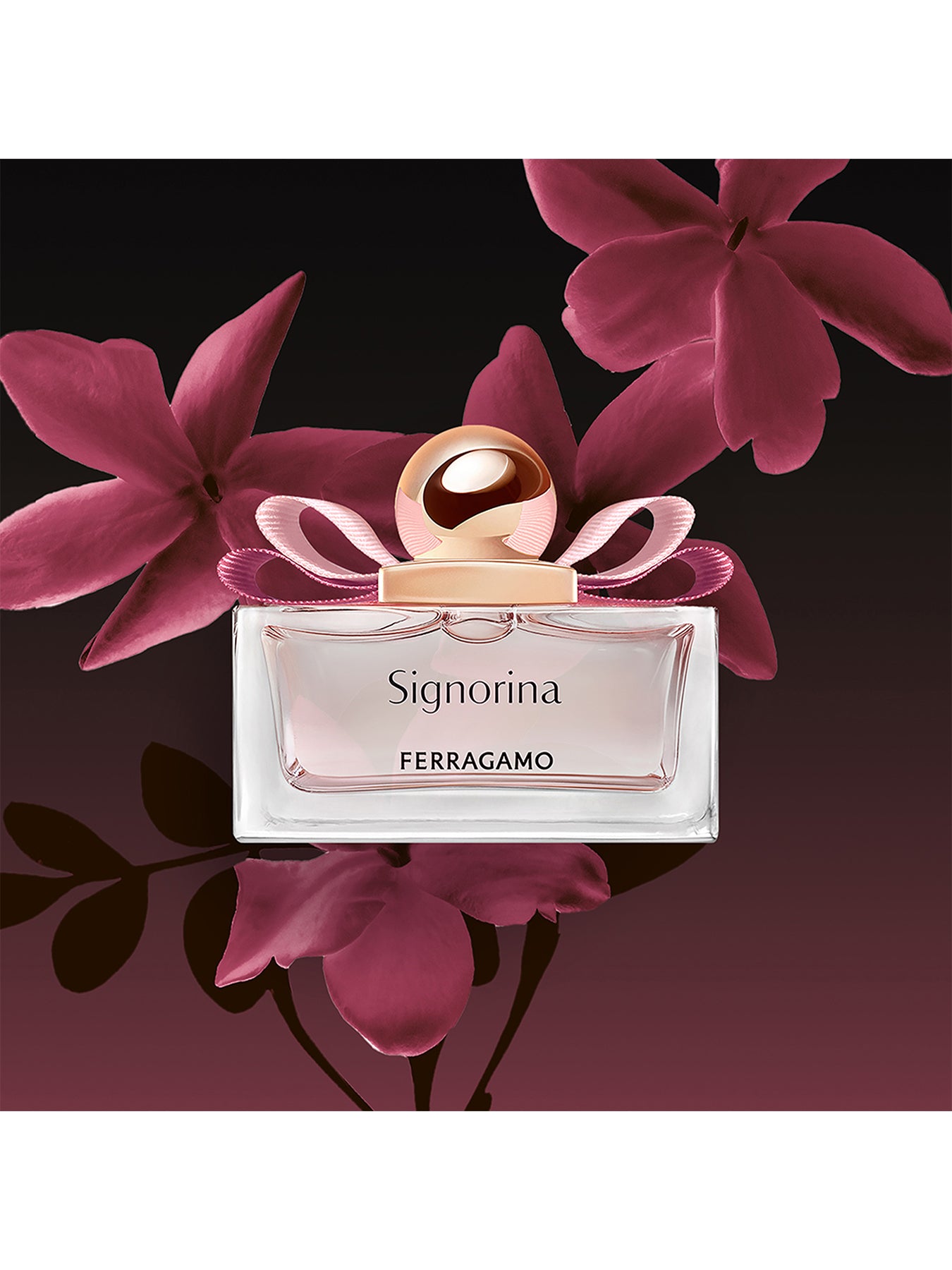 Signorina Eau De Parfum 100ml Gift Set