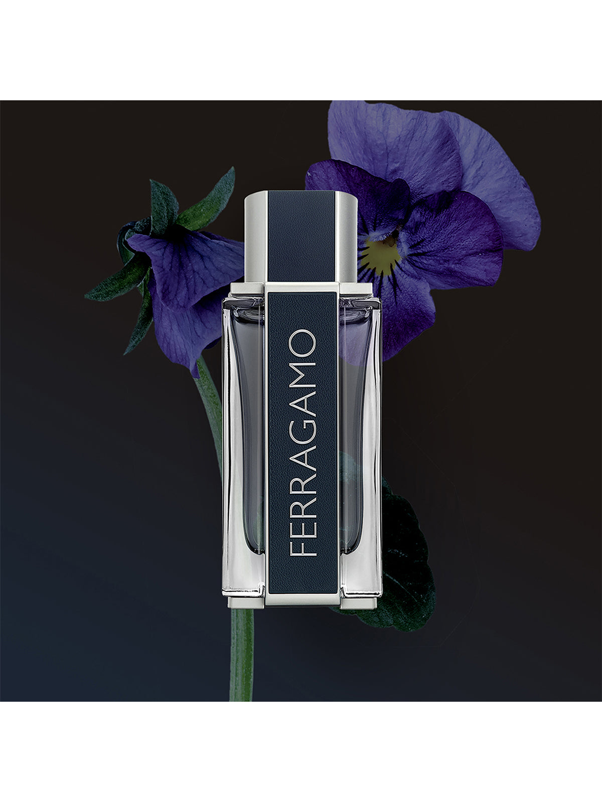 Ferragamo Men Eau De Toilette 100ml Gift Set