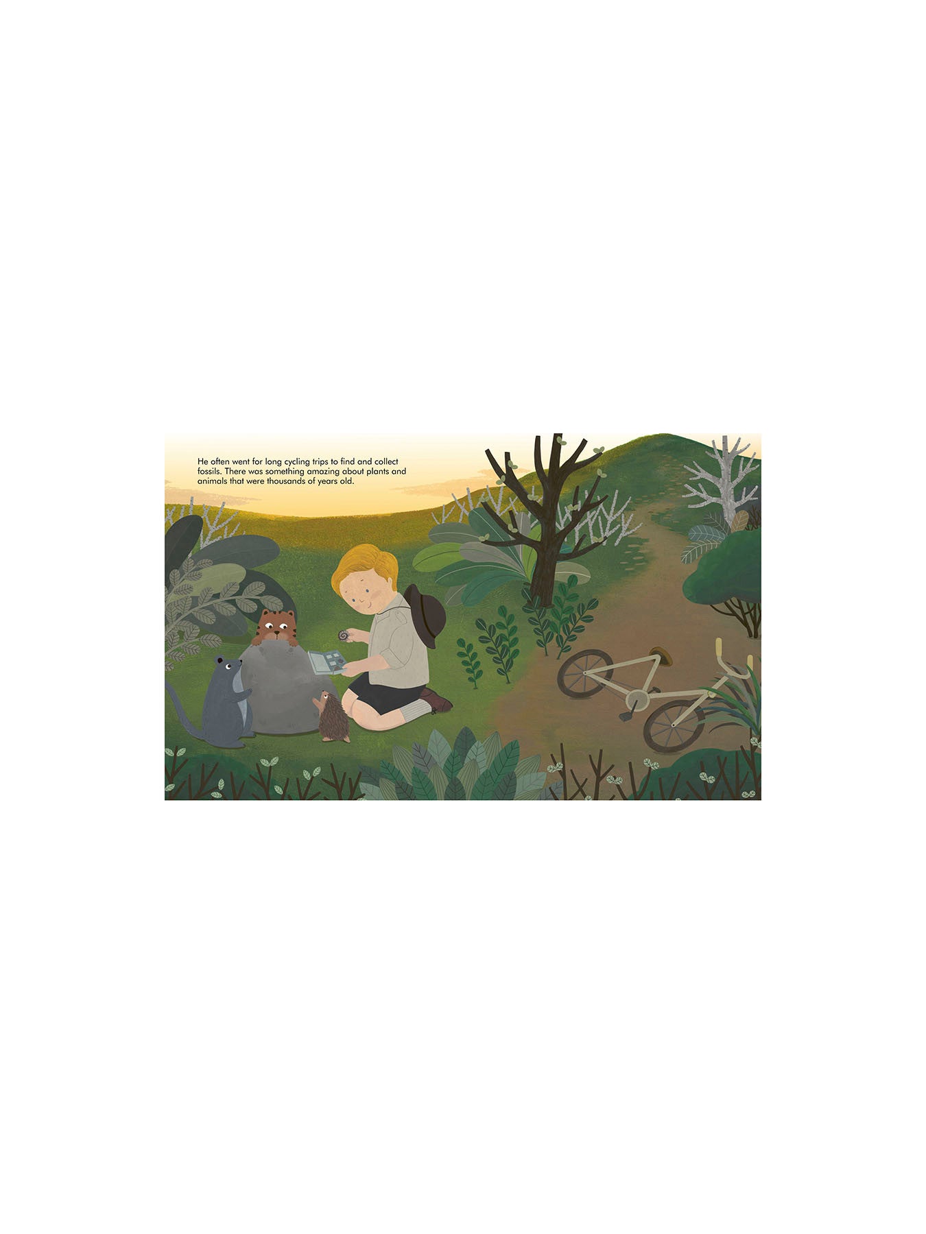 Little People Big Dreams David Attenborough