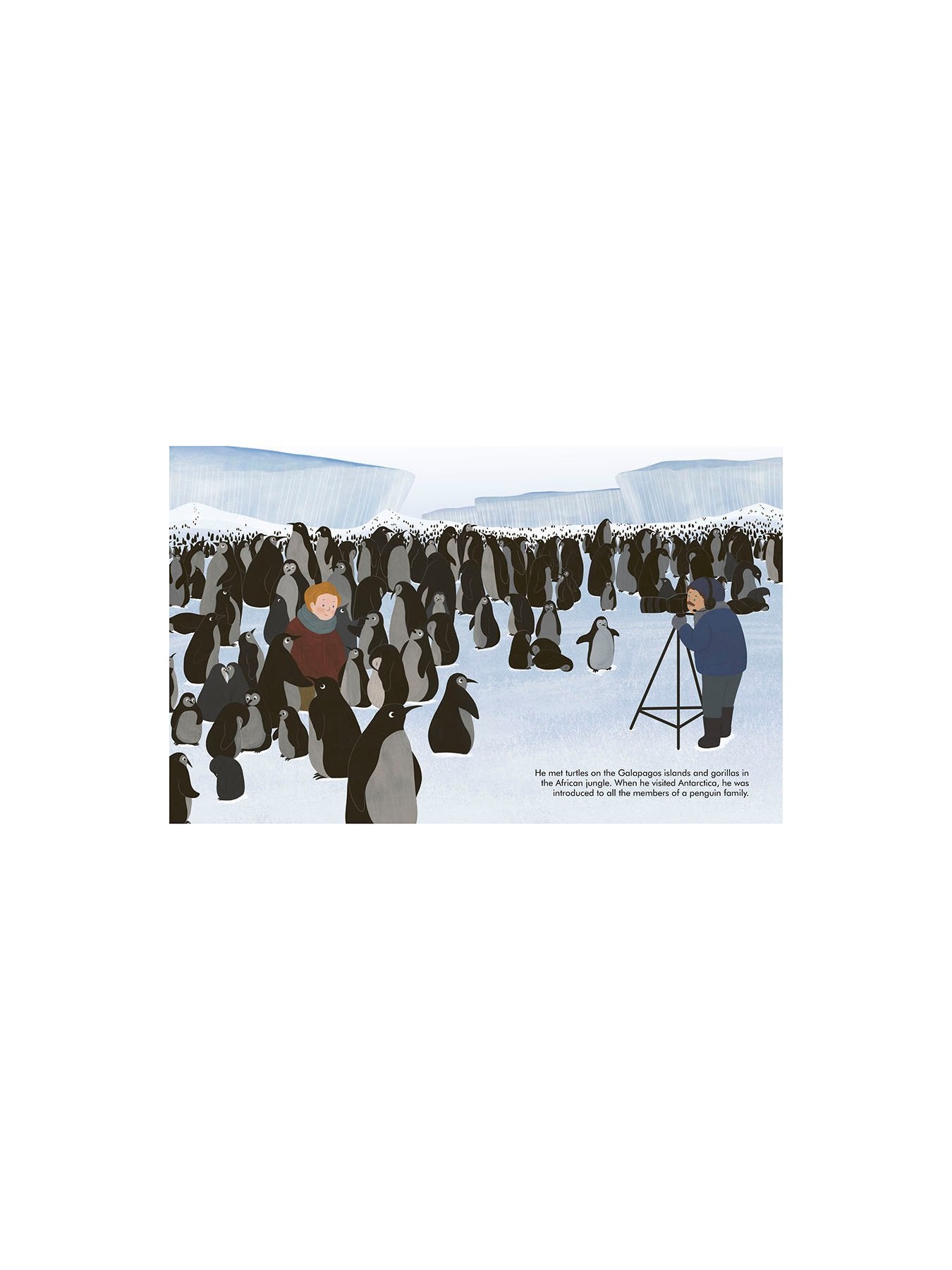 Little People Big Dreams David Attenborough