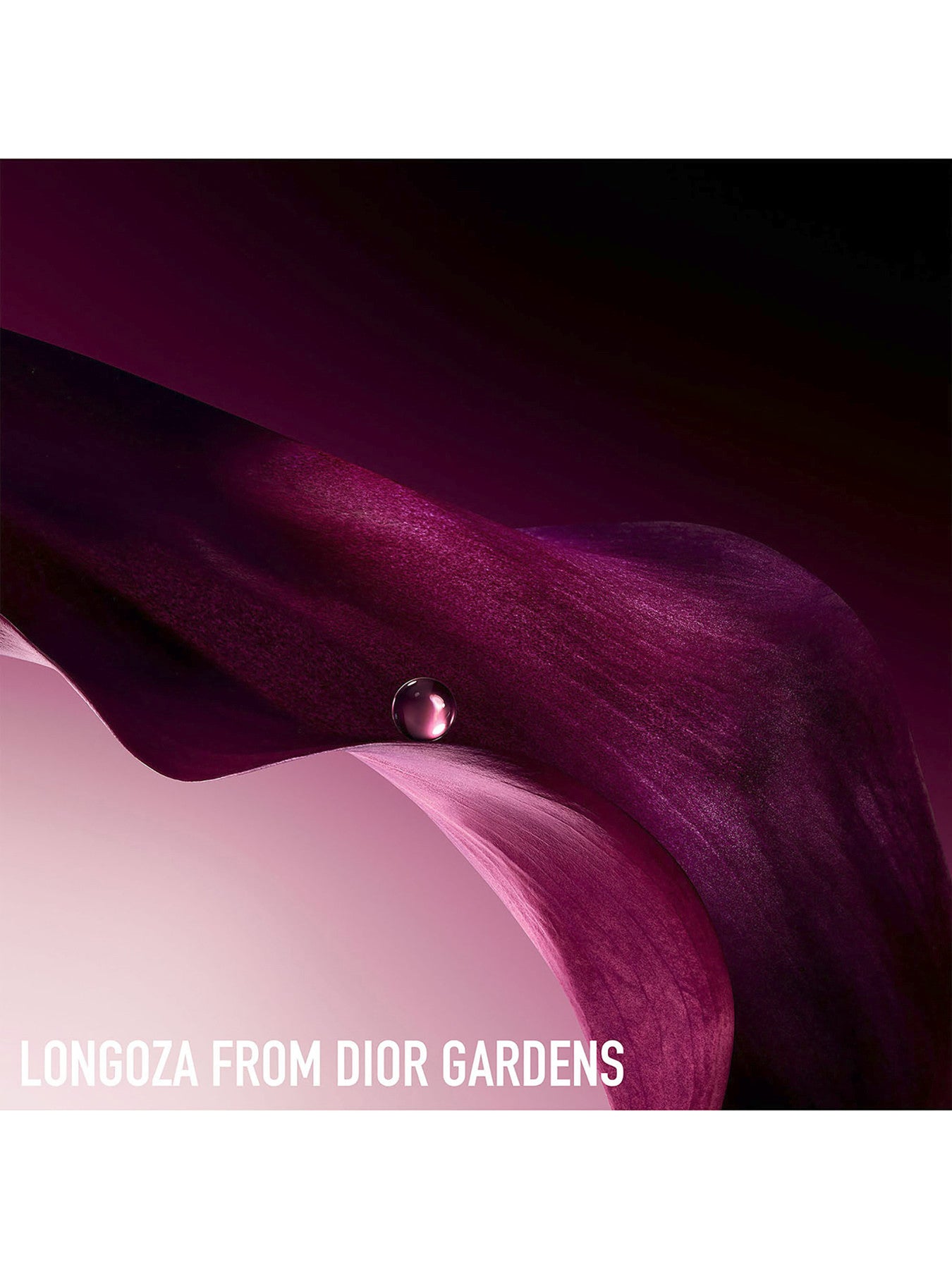 Capture Totale Super Potent Rich Cream 50ml