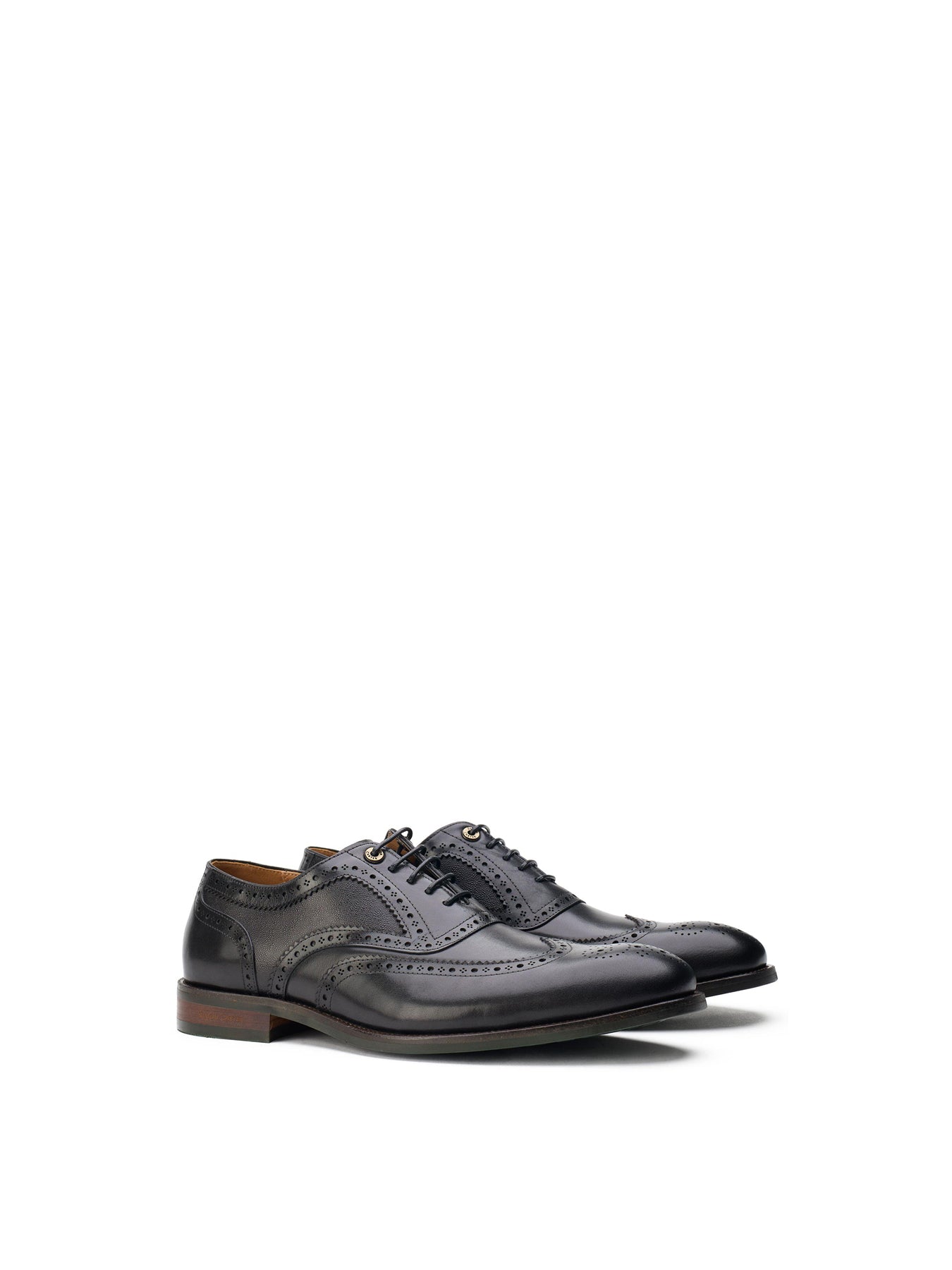 Diplodocus Brogue Shoes Black
