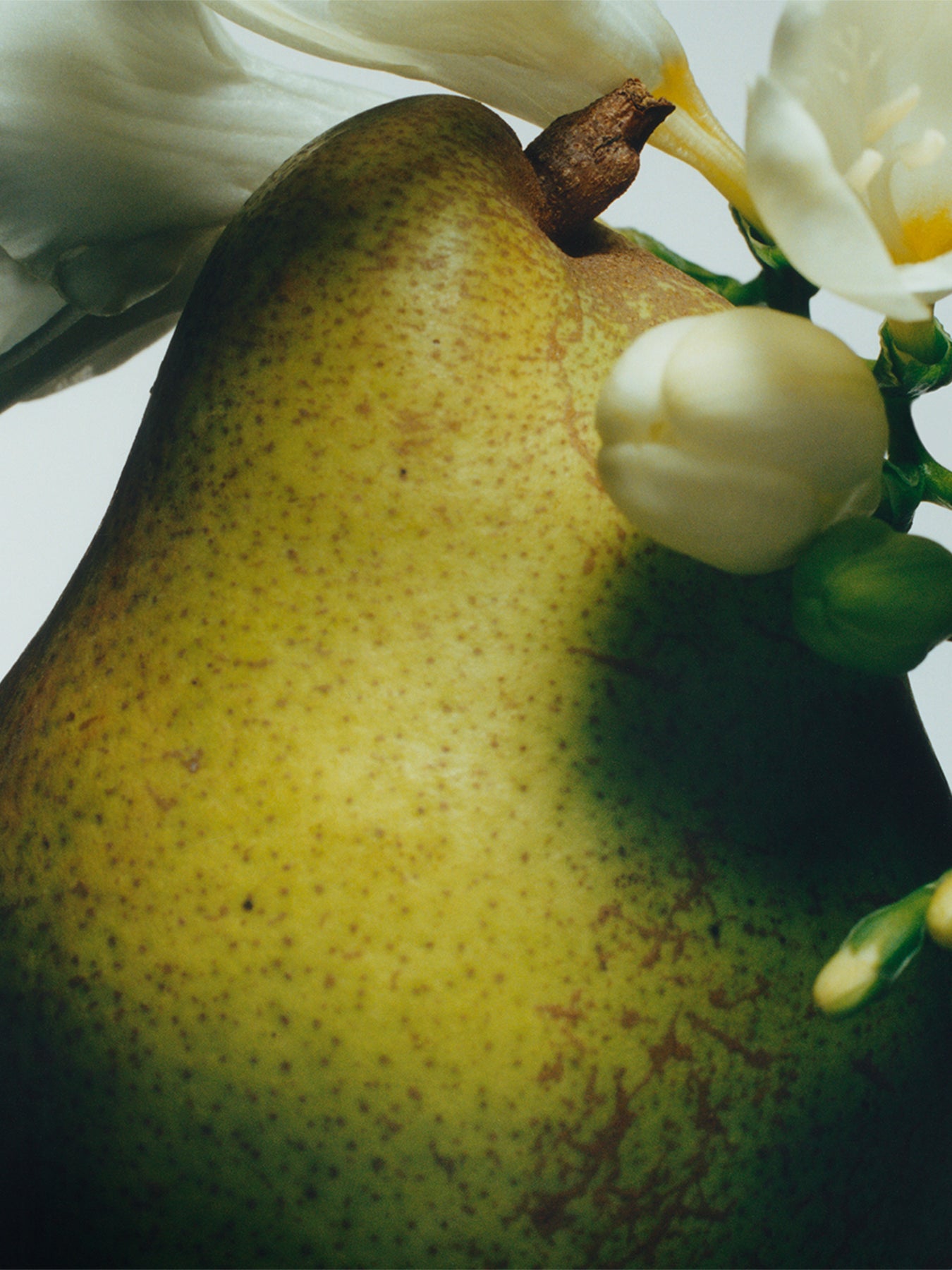 English Pear & Freesia Diffuser Refill